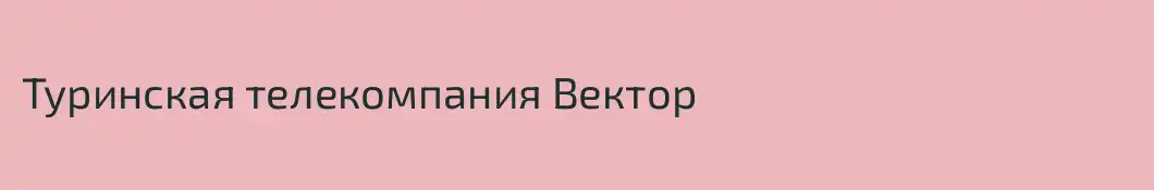 Туринская телекомпания Вектор